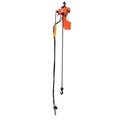 Global Industrial Air Chain Hoist, 500 lb Capacity, 10' Lift, Single Reeved, 65 FPM Lift Speed 298626